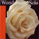 ヴァイオリン弦 Wondertone Solo E silvery